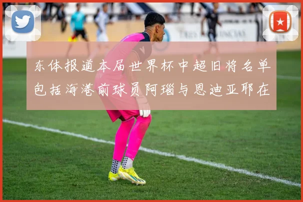 东体报道本届世界杯中超旧将名单包括海港前球员阿瑙与恩迪亚耶在内的10位球员